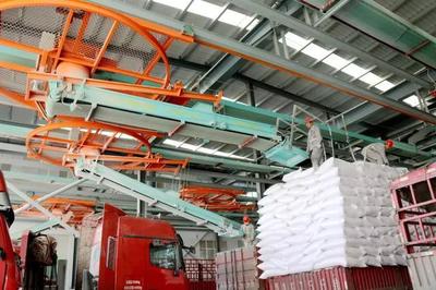 第九屆永城面博會特別策劃之:一眾成長型企業