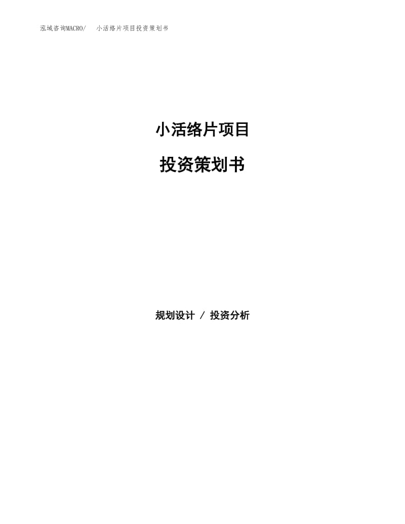 小活絡片項目投資策劃書